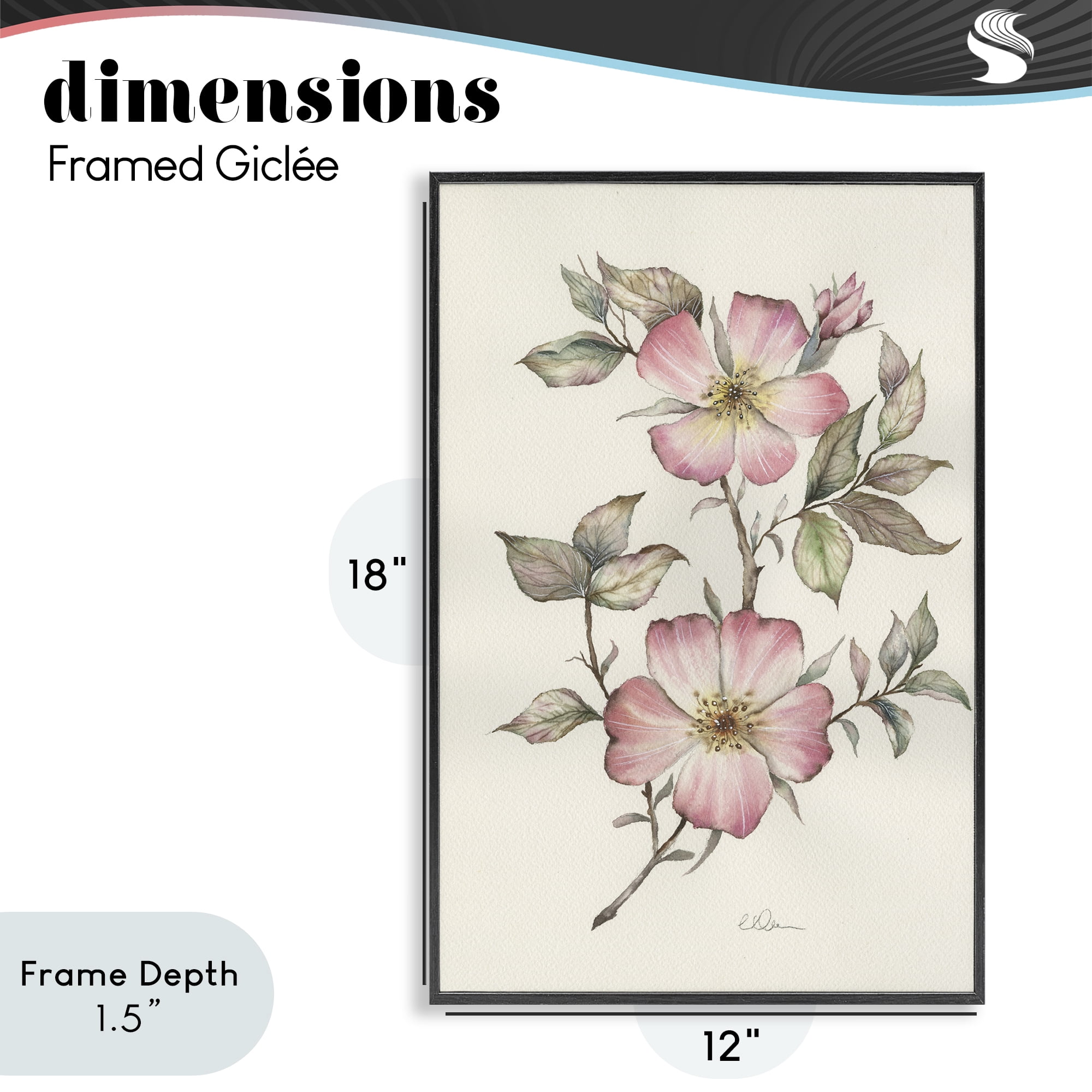 Stupell Industries Two Flowers Natural Study Black Framed Giclee Art, design by Cady Driver