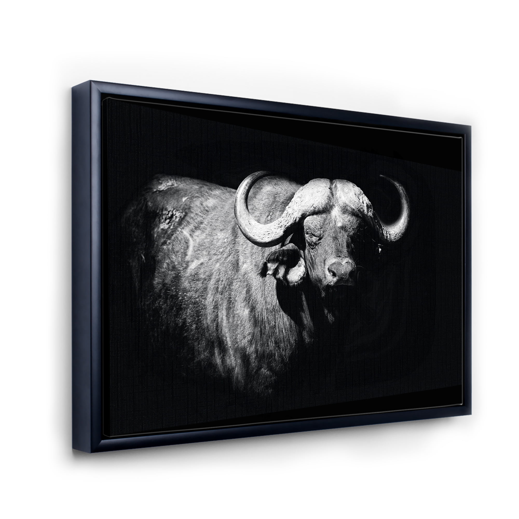 Designart 'Black and White Portrait Of Buffalo I' Farmhouse Framed Canvas Wall Art Print