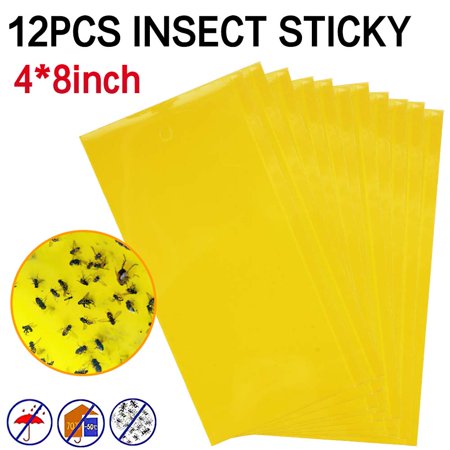 Xhy 12Pcs Sticky Fly Trap Paper Dual-Sided Yellow Killer Traps for Fruit Flies Insect Glue Catcher 8x6inch for Indoor Outdoor