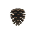thumbnail image 1 of Pinecone Door Knocker - Oiled Bronze (Premium Size), 1 of 4