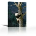 thumbnail image 1 of Giant Panda climbing tree, Wolong Valley, China - Contemporary Fine Art Giclee on Canvas Gallery Wrap - wall décor - Art painting - 20 x 30 Inch - Ready to Hang, 1 of 2
