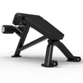 thumbnail image 1 of Ironax XFW-RB Roman Chair Bench for Back and Core, 1 of 2