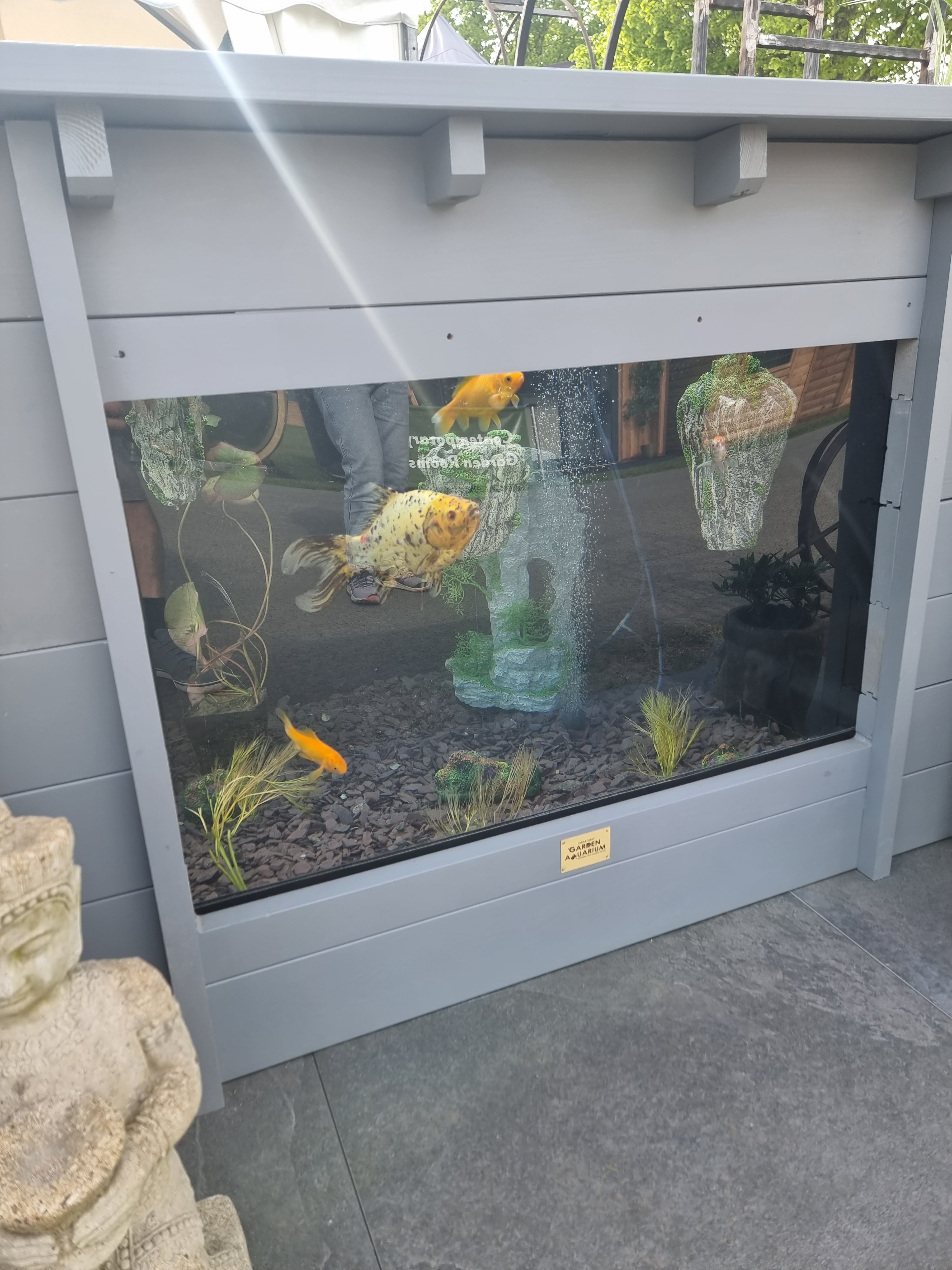 280G Light Gray Square Pond with Large Windows - Alba Clear View Garden Aquarium