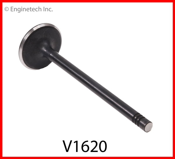 VALVE 1 INT FORD 1.6L