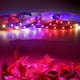 thumbnail image 5 of USB LED crecer tiras de luz USB Full Spectrum luces de cultivo Lámpara de planta, 5 of 5