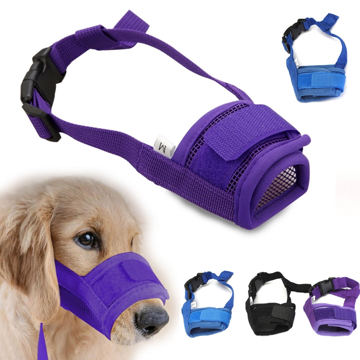 dog mouth guard