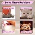 thumbnail image 6 of Clearance Hotyverty Cat Pillows Toys, Soft Catnip Toy, Cat Chew Toy Exercise Kicker for Indoor Cats Kittens Kitty B, 6 of 6