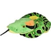 Toys R Us Plush - Anaconda Snake - 50 in - green, spot yellow, black dot