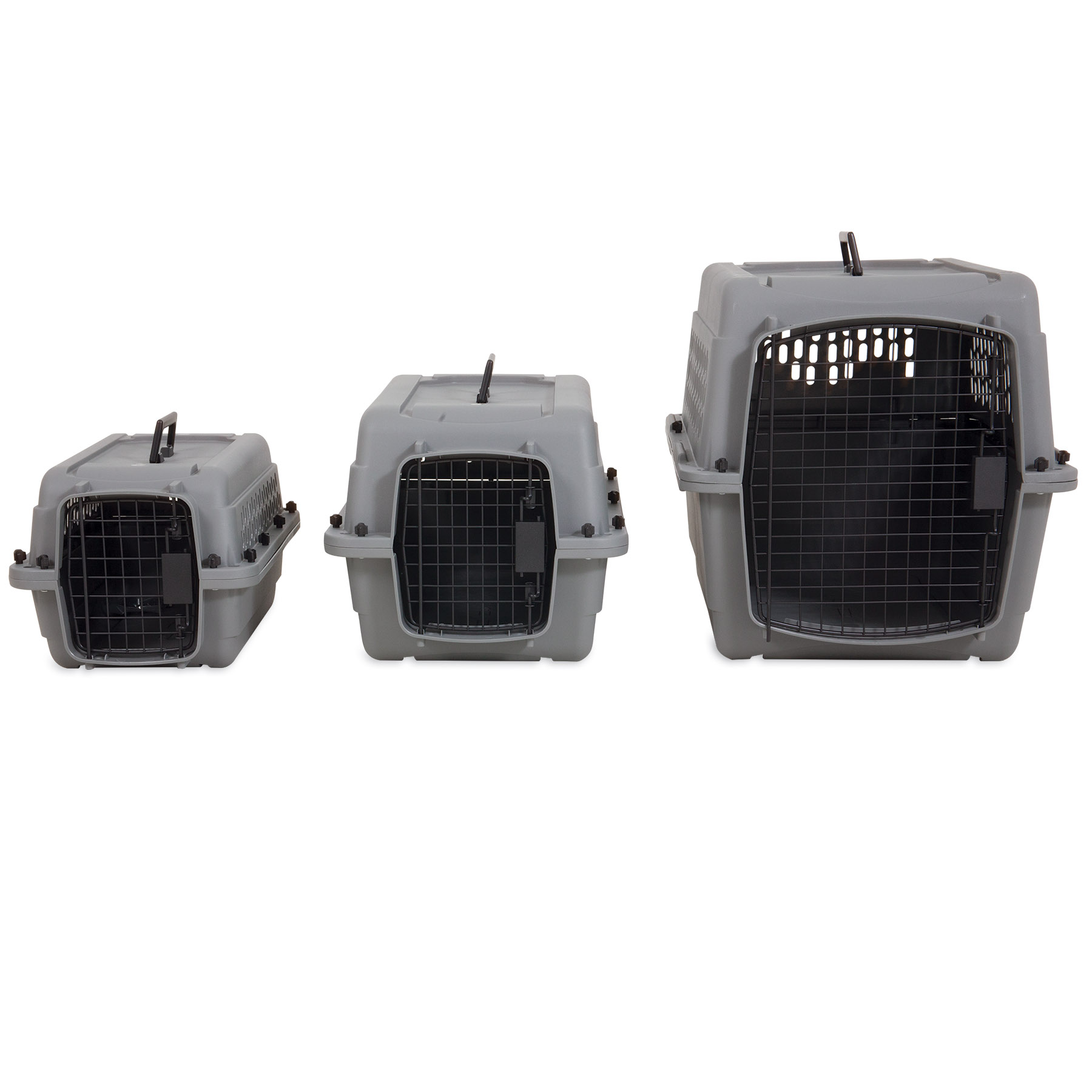 Aspen Pet Traditional Kennel 20"