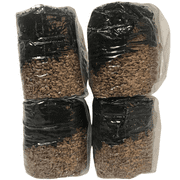 Mushroom Grow Kit - All in One Mushroom Grow Bags - 4 Pack…
