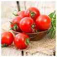thumbnail image 3 of Everwilde Farms - 1/4 lb Large Red Cherry Heirloom Tomato Seeds - Gold Vault Bulk Seed Packet, 3 of 3