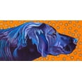 thumbnail image 2 of Wronski, Kathryn 32x18 Gold Ornate Wood Framed with Double Matting Museum Art Print Titled - Lab With Orange, 2 of 4