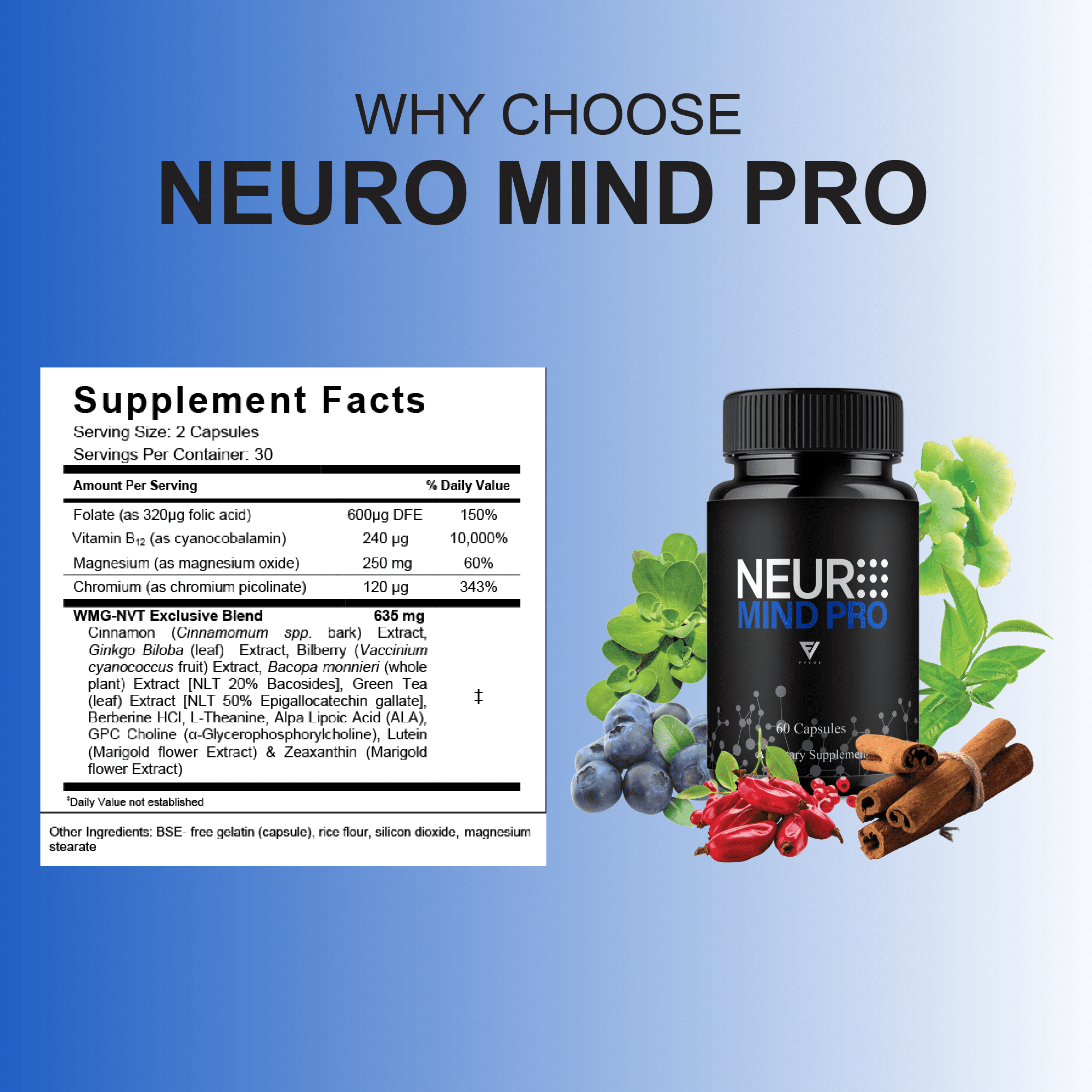 (5 Pack) Neuro Mind Pro Pills, NeuroMindPro Brain Health Formula (300 Capsules)