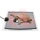 thumbnail image 1 of Estera calefactora para tortugas, almohadilla calefactora para mascotas reptiles, almohadilla calefactora para reptiles, almohadilla calefactora para gecos, compacta y ligera Jadeshay A, 1 of 8