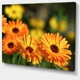 thumbnail image 2 of Blooming Orange Marigold Flowers - Floral Canvas Art Print, 2 of 3