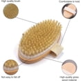 thumbnail image 4 of QPENWEI 2 Pièces Brosse pour le corps de Massage, Brosse corporelle pour éliminer les peaux mortes, Utilisé pour améliorer circulation sanguine, réguler fonction lymphatique contre cellulite, 4 of 5