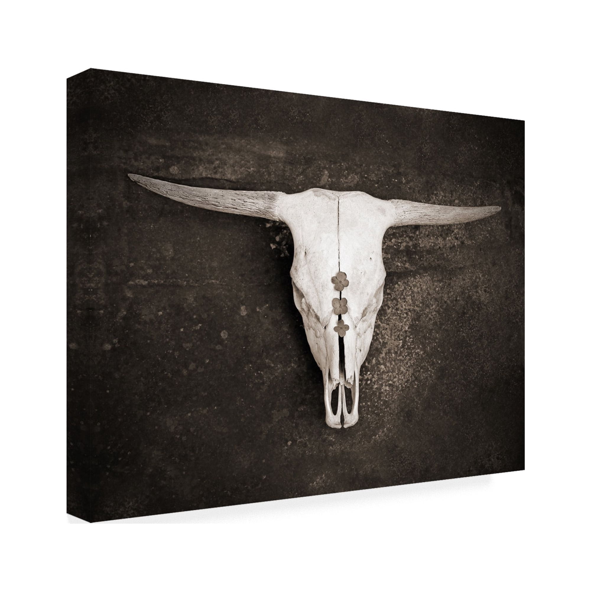 Trademark Fine Art 'Sepia Cattle Skull' Canvas Art by Brooke T. Ryan