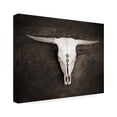 thumbnail image 2 of Trademark Fine Art 'Sepia Cattle Skull' Canvas Art by Brooke T. Ryan, 2 of 3