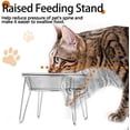 thumbnail image 2 of Cat Food Bowls, 4 Pcs Stainless Steel Cats Food and Water Whisker Fatigue Shallow Dishes, Small Dog Puppies Fat Faced Cat Kitten Supplies (4 Pack Raised Bowls), 2 of 5