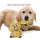 thumbnail image 3 of Juguetes de peluche para perros que chirrían, juguete masticable para cachorros, suministros para mascotas, juguete para animales, león, 3 of 5