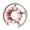 Pink, variant on Leg Massage Roller Fascia Muscle Roller Cellulite Roller with 30 Wheels for Deep Tissue Massage on Calves and Arms