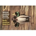 thumbnail image 2 of National Audubon Society Pocket Guide: North American Waterfowl, 2 of 2
