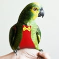 thumbnail image 3 of LOLIPPYY Red Parakeet Diaper, Fashionable Cotton Flight Suit for Small Birds, Protection, 3 of 5