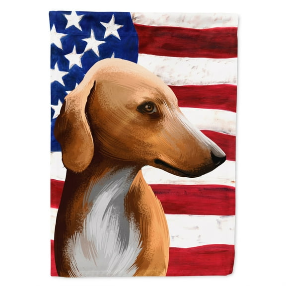 Carolines Treasures CK6416CHF Azawakh Hound American Canvas House Size Outdoor-Flags, Multicolor