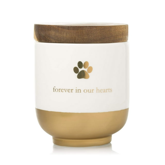 Urna conmemorativa para mascota Pearhead de cerámica con detalle dorado 11 x 14 cm