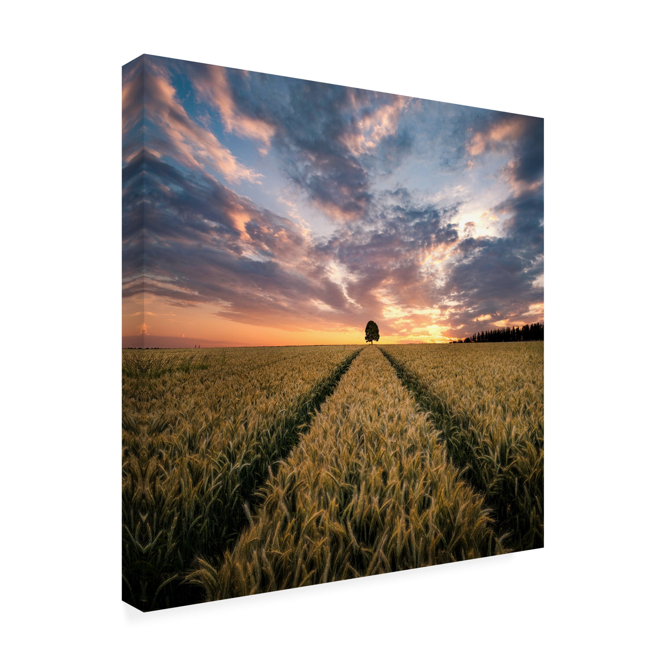 Canvas Wall Art - Christian Lindsten 'Field Of Dreams' Wall Art for Living Room, Bedroom, or Office D?cor by Trademark Fine Art - 35 x 35 Inches