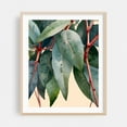 thumbnail image 2 of Minimalist Eucalyptus Botanical Art - India Illustration Botanical Tropical Nature Floral Pattern Minimalist Abstract Unframed Wall Art Print 9 x 12 inches, 2 of 13