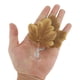 thumbnail image 2 of Cama de pez Betta Unique Bargains, cama de hoja de Betta, hamaca de plástico para Betta, almohadilla de hamaca para Betta con ventosa, naranja, 2 of 7