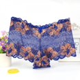 thumbnail image 3 of Deepwonder Ladies Panties Lace Low Waist Panties Floral Hollow Briefs Lace Jacquard Women See-through Mesh Panties Underwear, 3 of 6