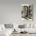 thumbnail image 3 of Trademark Fine Art 'Sumi Waterfall View III' Canvas Art by Chris Paschke, 3 of 3