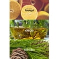 thumbnail image 4 of Perceive Men's Perfume EDT 100 ml 3.4 oz, 4 of 5
