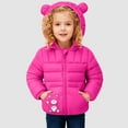 thumbnail image 2 of Staki Baby Boys Coat Warm Toddler Puffer Jacket Hooded Winter Outerwear for Boys Baby Wearing Coat 12M,18M,24M,2T,3T,4T,5T(Hot Pink,2-3 Years), 2 of 6