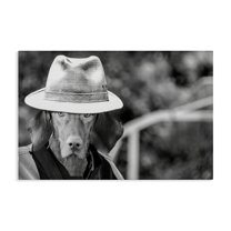 Stupell Industries Country Cowboy Dog Animals & Insects Photography Gallery Wrapped Canvas Art Print Wall Art, 45 x 30