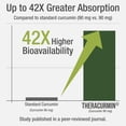 thumbnail image 2 of Peak Performance Theracurmin - High Absorption Turmeric Curcumin for Joint & Muscle Recovery, 30 Count, 2 of 7