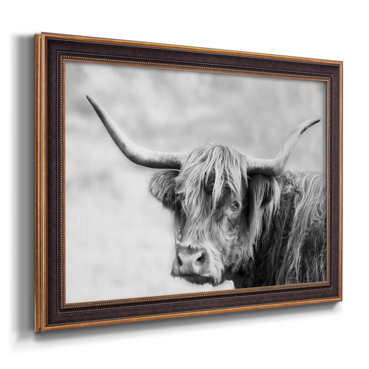 Hairy Highland Hazy Day Premium Framed Canvas- Ready to Hang