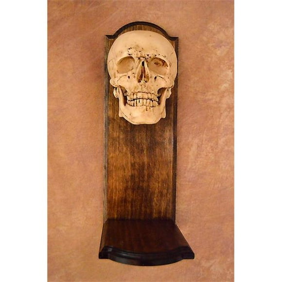 Applique Murale, Crâne au-Dessus du Cadre en Bois, Sans Bougie