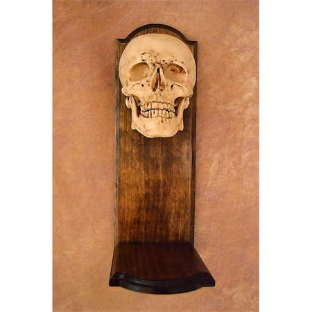 

Wall Sconce Skull at Top of Wood Frame No Candle