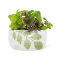 thumbnail image 2 of Low Leaf Planter, 2 of 3