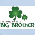 thumbnail image 2 of CafePress - St. Patrick's Day Big Brother T Shirt Infant Bodys - Baby Light Bodysuit, Size Newborn - 24 Months, 2 of 4