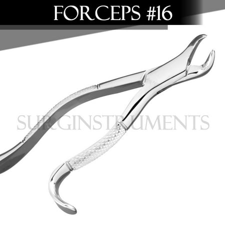 Extracting Forceps Dental Surgical Instruments 16