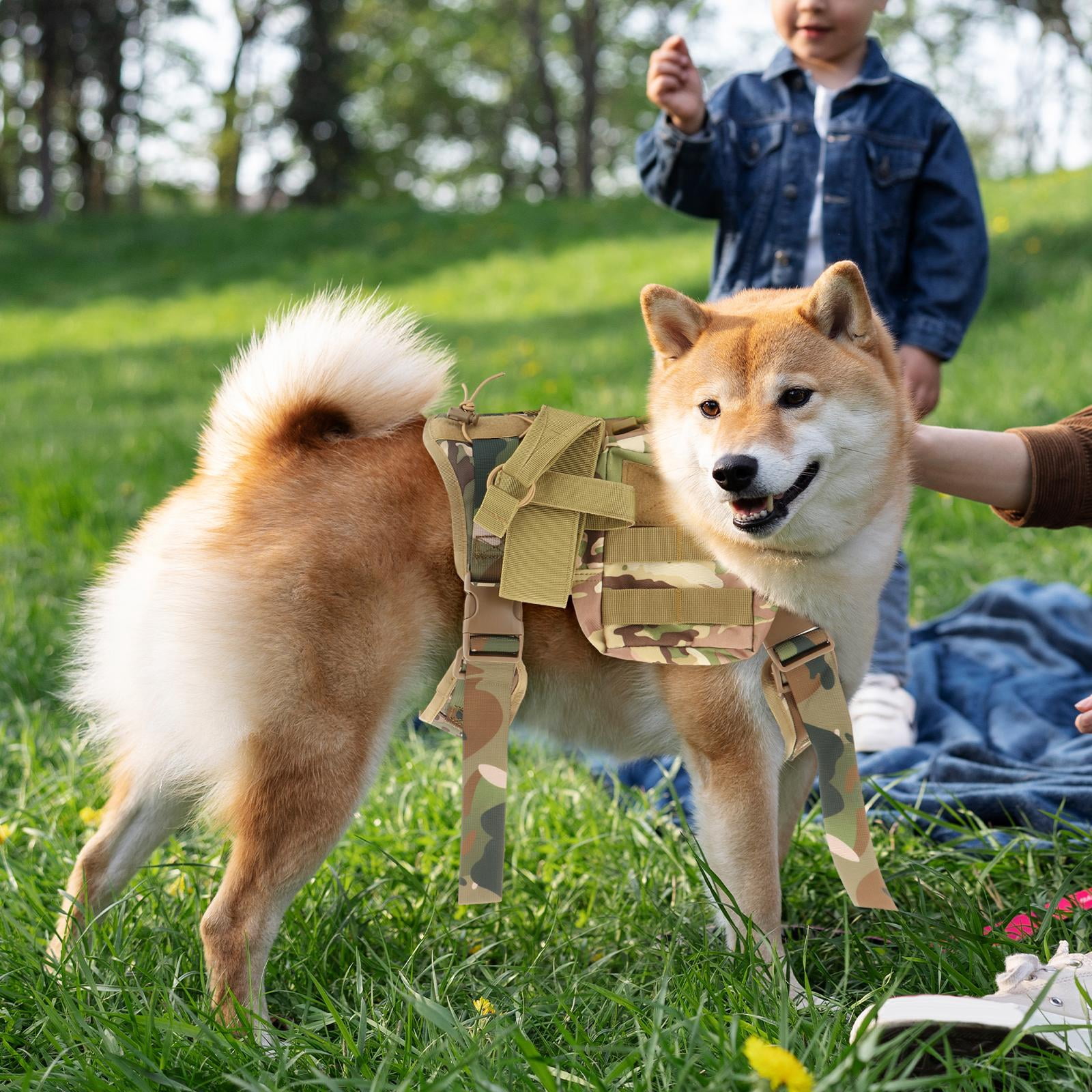 Dog Hiking Backpack Saddle Bag Rucksack High Capacity Adjustable Strap Saddlebag Outdoors Dog Backpack for Camping Hiking , L L