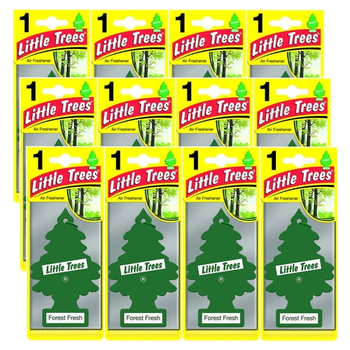 Little Trees FOREST FRESH Car Air Freshener Hanging Scent for Home Room Office (12Pack