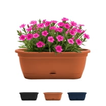 Bloem Lucca 18" Terra Cotta Self-Watering Oval Window Box Garden Planter Pot for Indoor and Outdoor Gardening