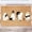 A002- Clear (Pumpkin Ghost B), variant on Doormat, Coir Cute Ghost Black Cat Halloween Themed, 1 Piece Non Slip Entrance Rug With Spooky Trick Or Treat Pattern For Home Front Door Porch Entryway Indoor Outdoor Halloween Holiday Decoration