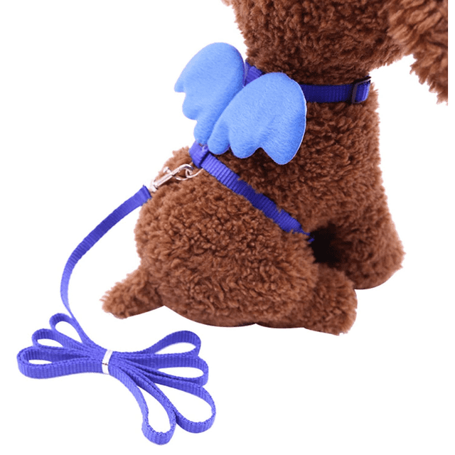 Cute Solid Color Mini Wings Nylon Pet Harness Chest Strap Dog Cat Lead Leash, Blue XS