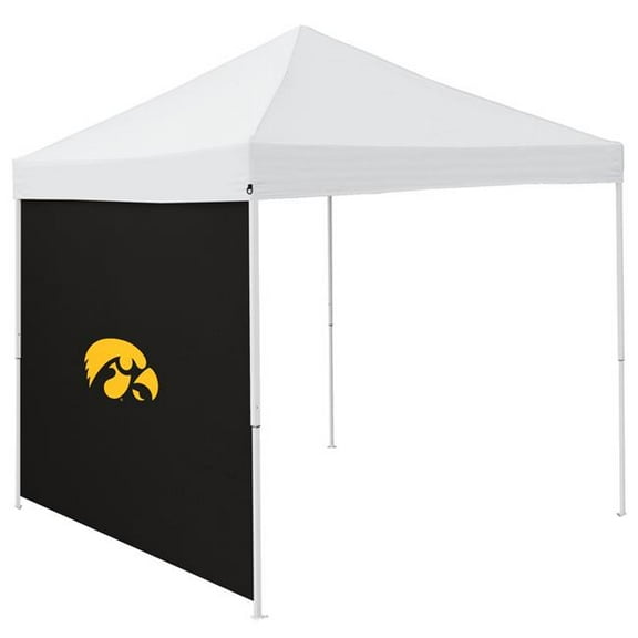 Logo Brands 155-48 Iowa Black 9 x 9 in. Side Panel